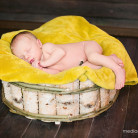 newborn photo